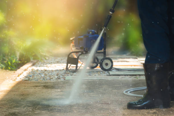 Animal Enclosure Cleaning in Esparto, CA